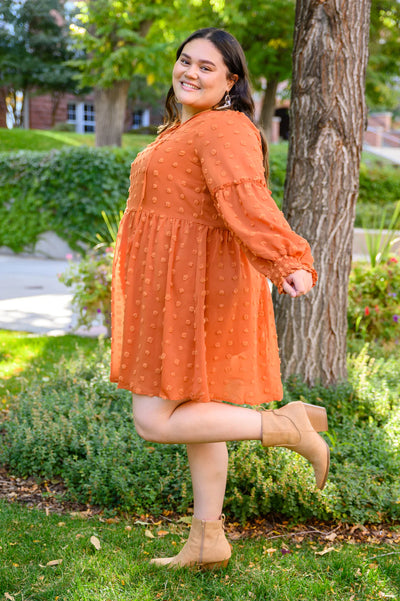 Brand Collab Special Feeling Swiss Dot Dress In Rust