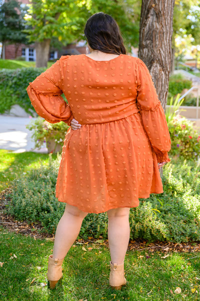 Brand Collab Special Feeling Swiss Dot Dress In Rust