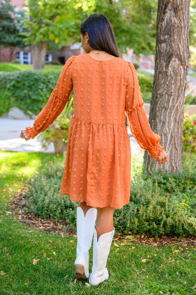 Brand Collab Special Feeling Swiss Dot Dress In Rust