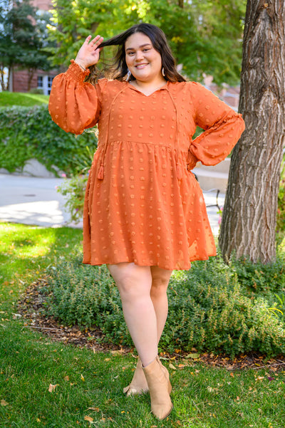 Brand Collab Special Feeling Swiss Dot Dress In Rust