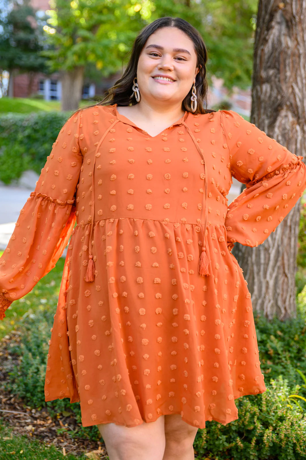 Brand Collab Special Feeling Swiss Dot Dress In Rust